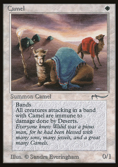 Camel