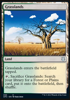 Grasslands