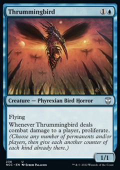 Thrummingbird